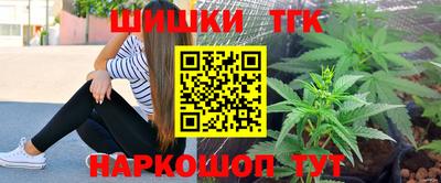 стаф Новокубанск