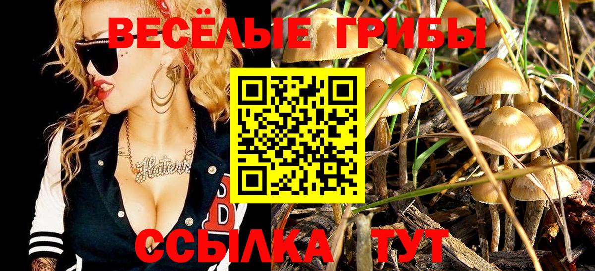 Галлюциногенные грибы Cubensis Туапсе